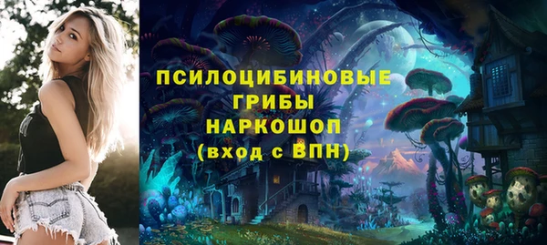 кокс Корсаков
