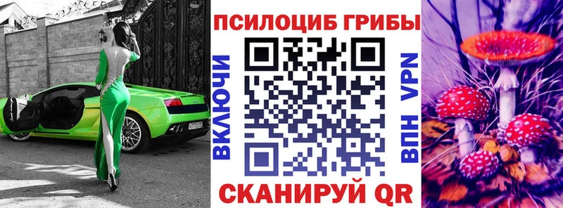 Купить закладки  Златоуст  Галлюциногенные грибы мицелий 
